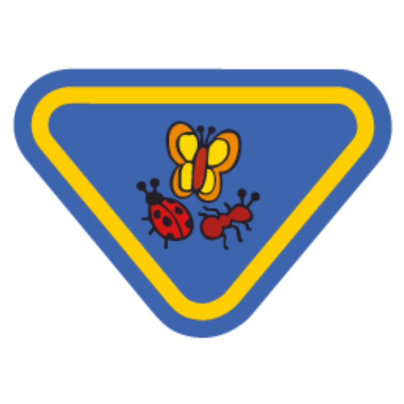 Especialidad Aventurero: Insectos